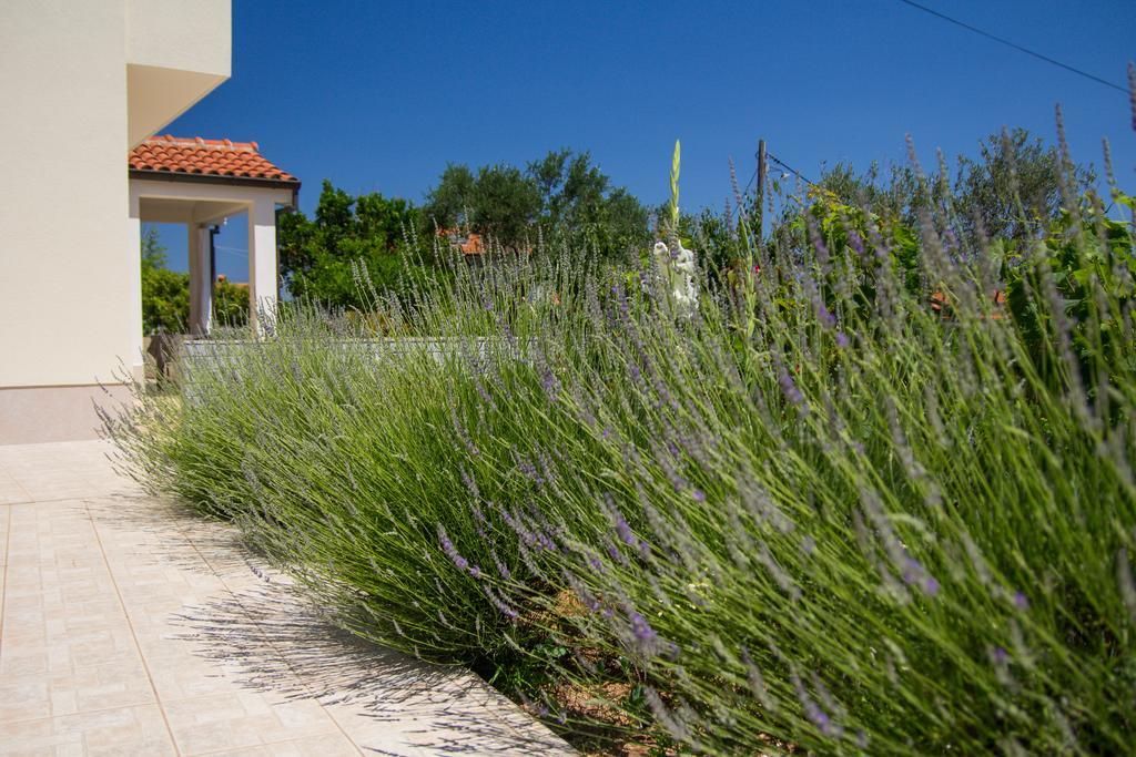 Apartmani Dorita Mali Lošinj Dış mekan fotoğraf